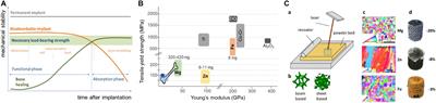 Additively Manufactured Absorbable Porous Metal Implants – Processing, Alloying and Corrosion Behavior